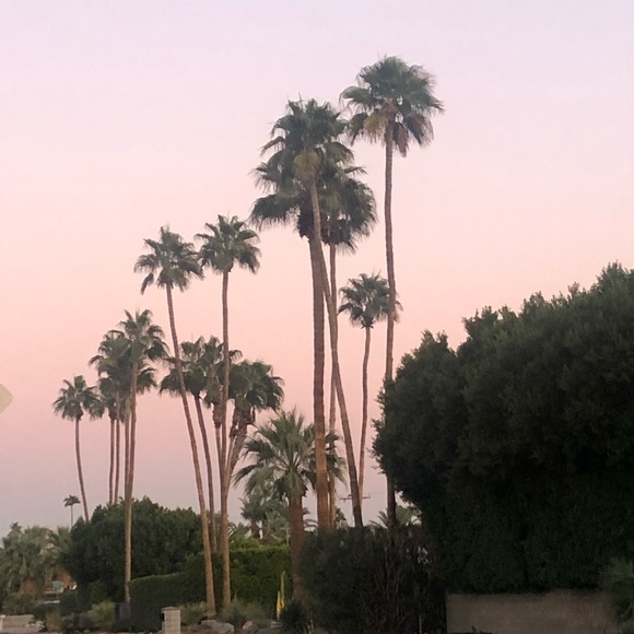 Meet your Posher, Abby - Picture 3 of 4